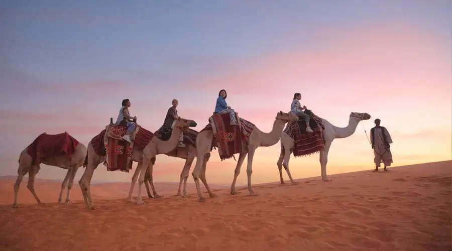 Camel ride along a ridge